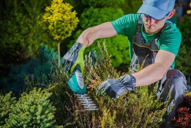 landscaping services Jeffersonville